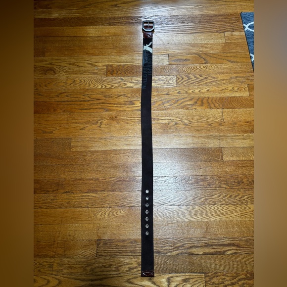 Vintage American Eagle Belt (Small) - Picture 10 of 11